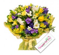 Bouquet em tons amarelo e roxe com as flores suaveis: tulipa e fresia 